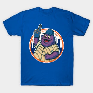 Fuzzy Fanatic - Baseball Mascot Vibes T-Shirt